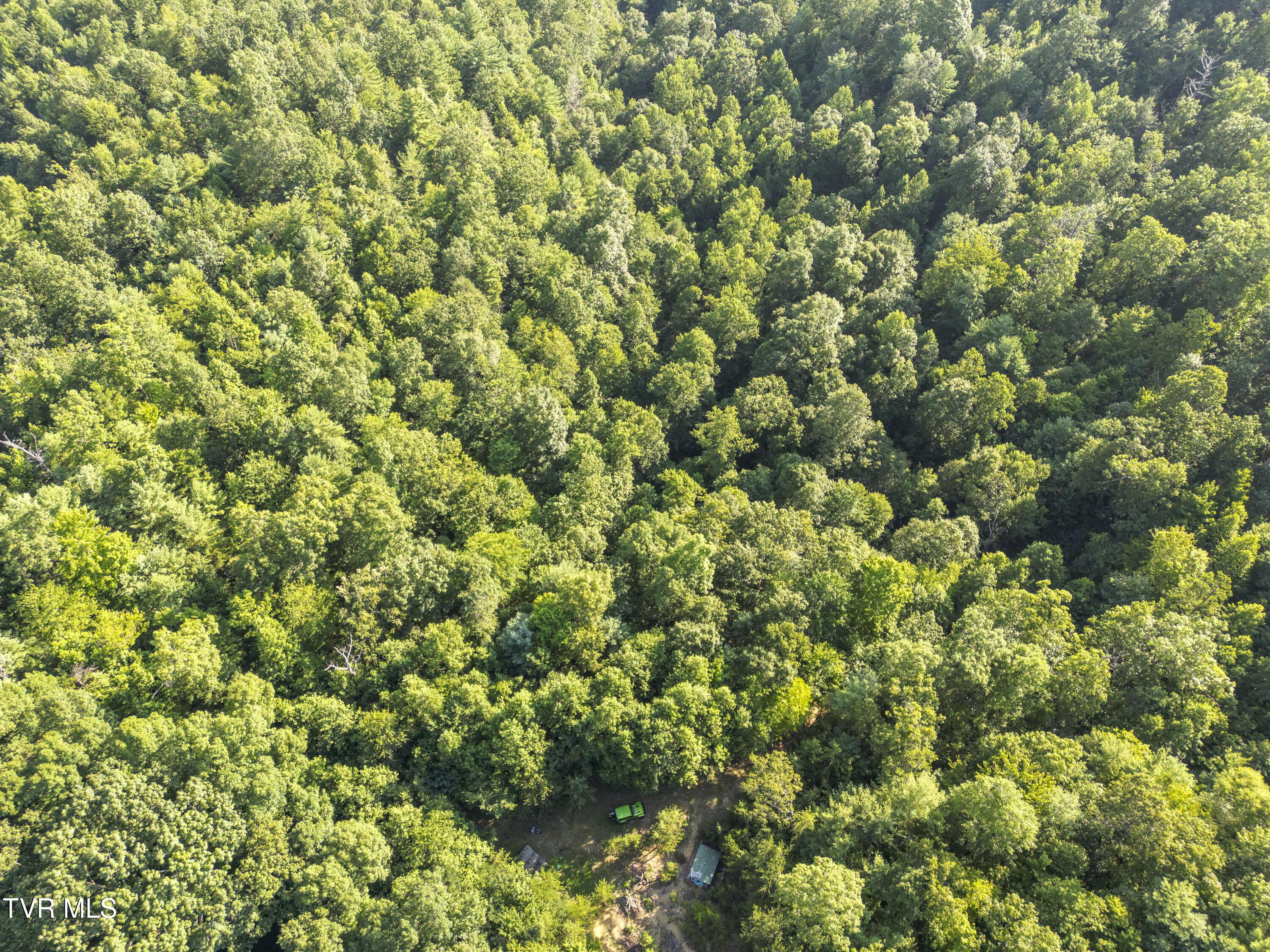 Image 4: 00 Patty-Branch-Bristol-TN-36