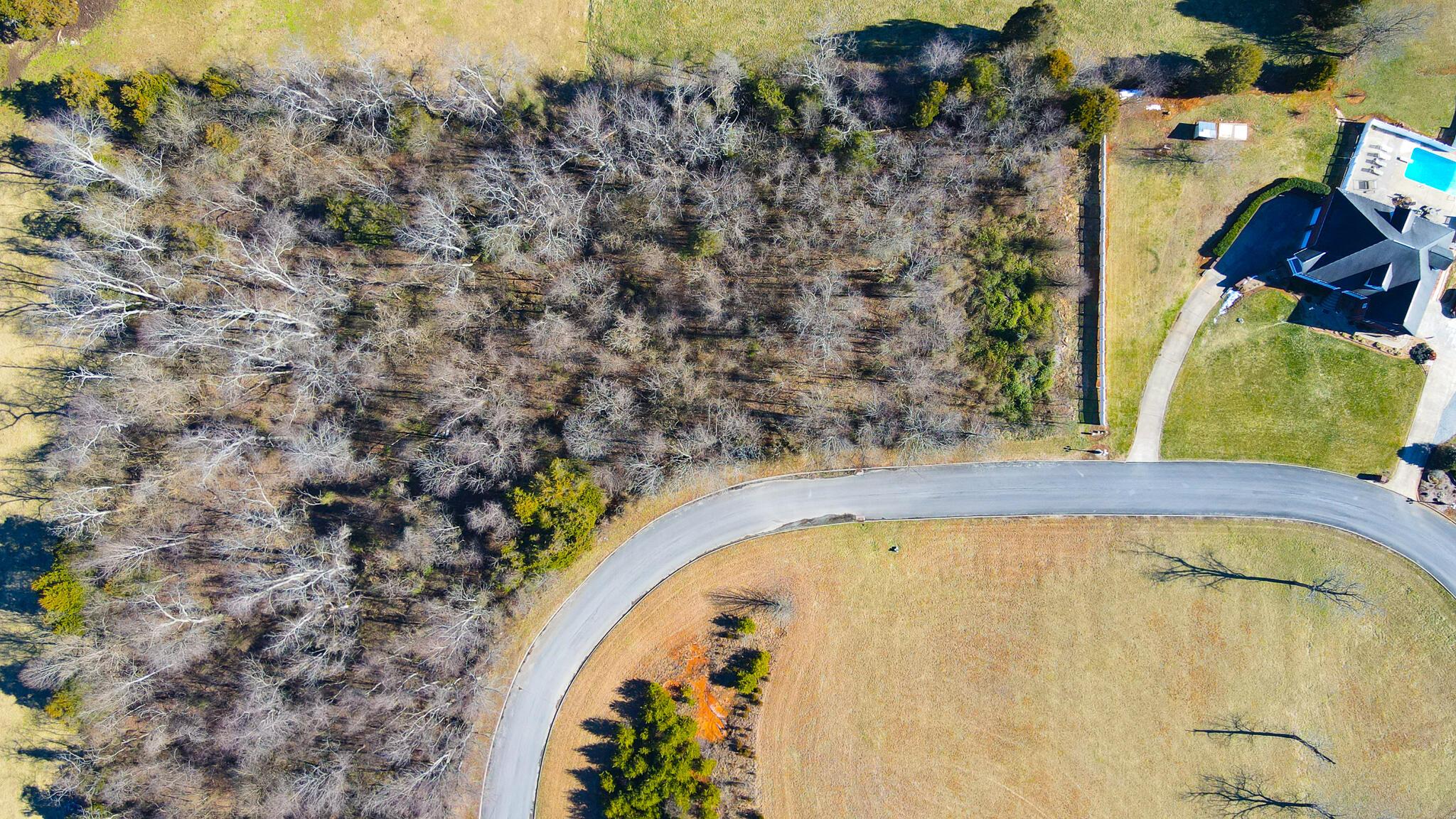Image 4: 21-24 Birds Eye