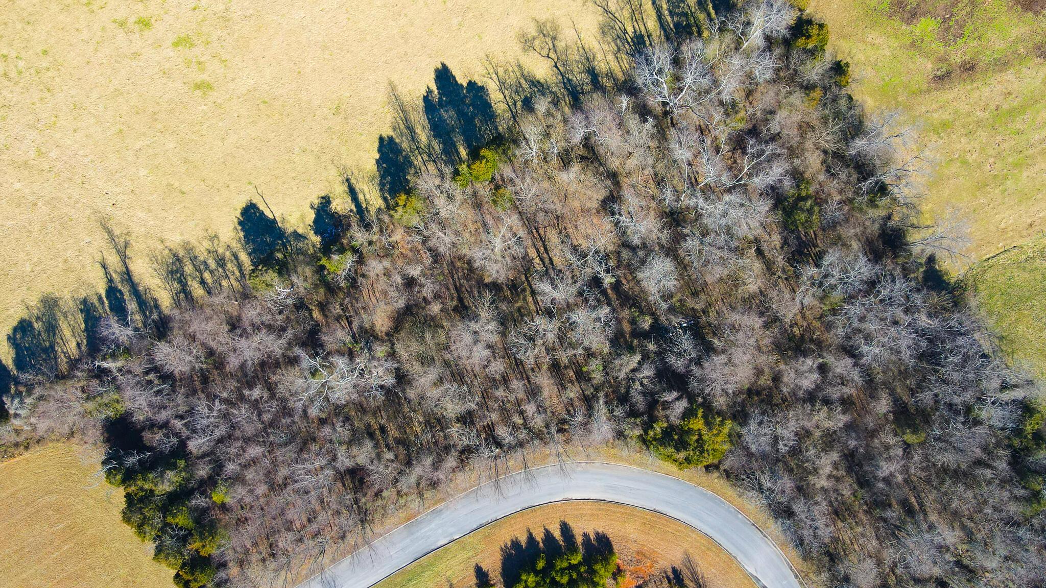 Image 2: 23-26 Birds Eye