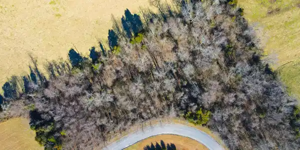Image 2: 23-26 Birds Eye