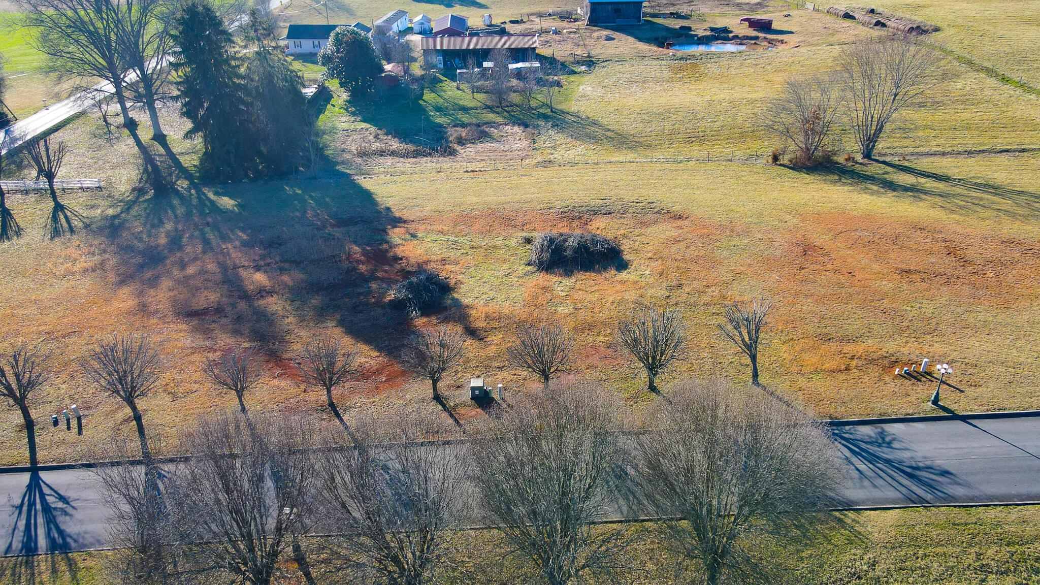 Image 3: 45-46 Aerial Frontal