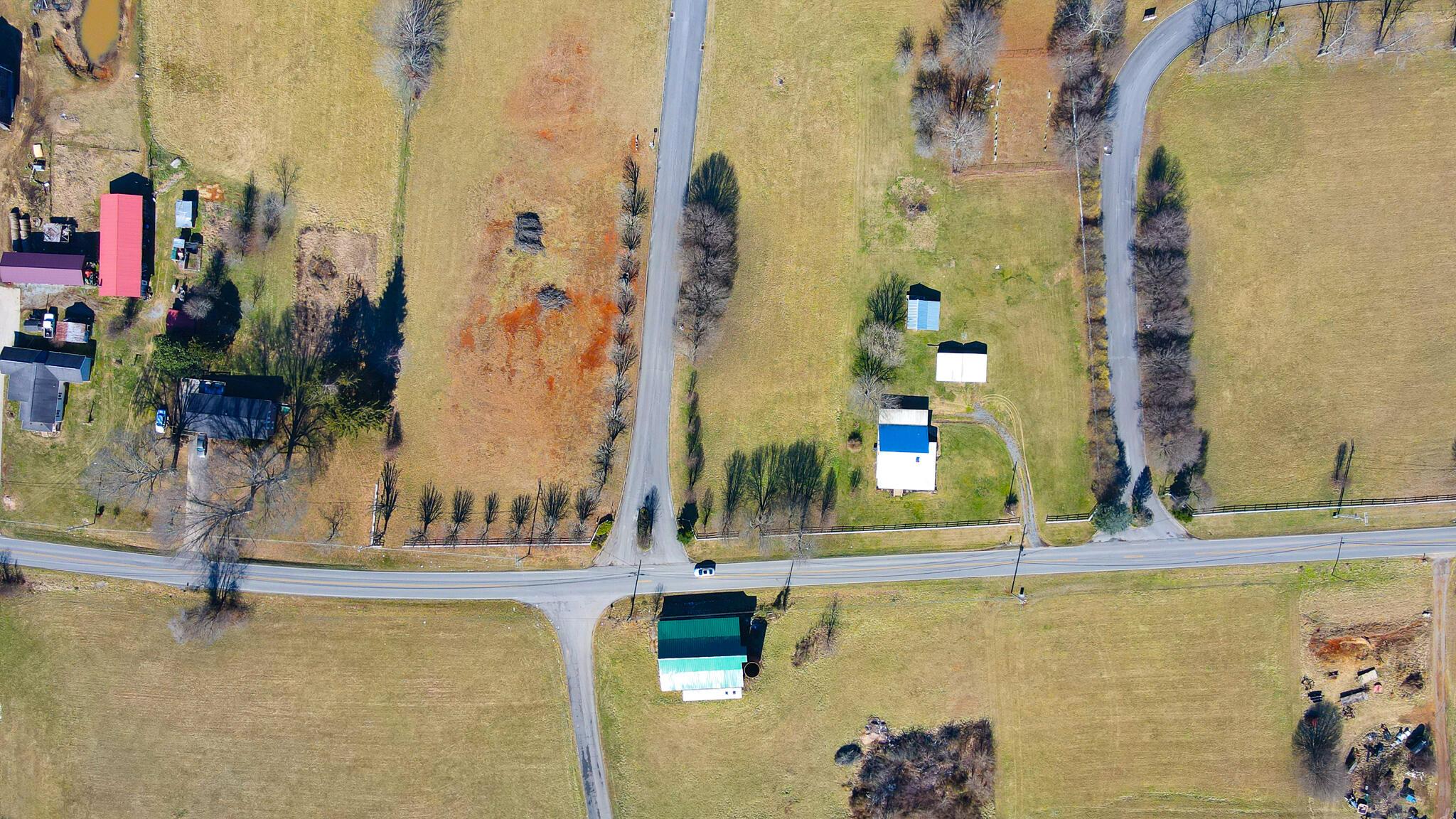 Image 4: 45-49 Birds Eye