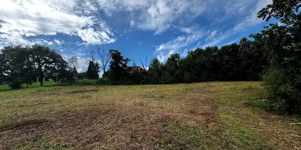 Image 2: Pic 2 after mow