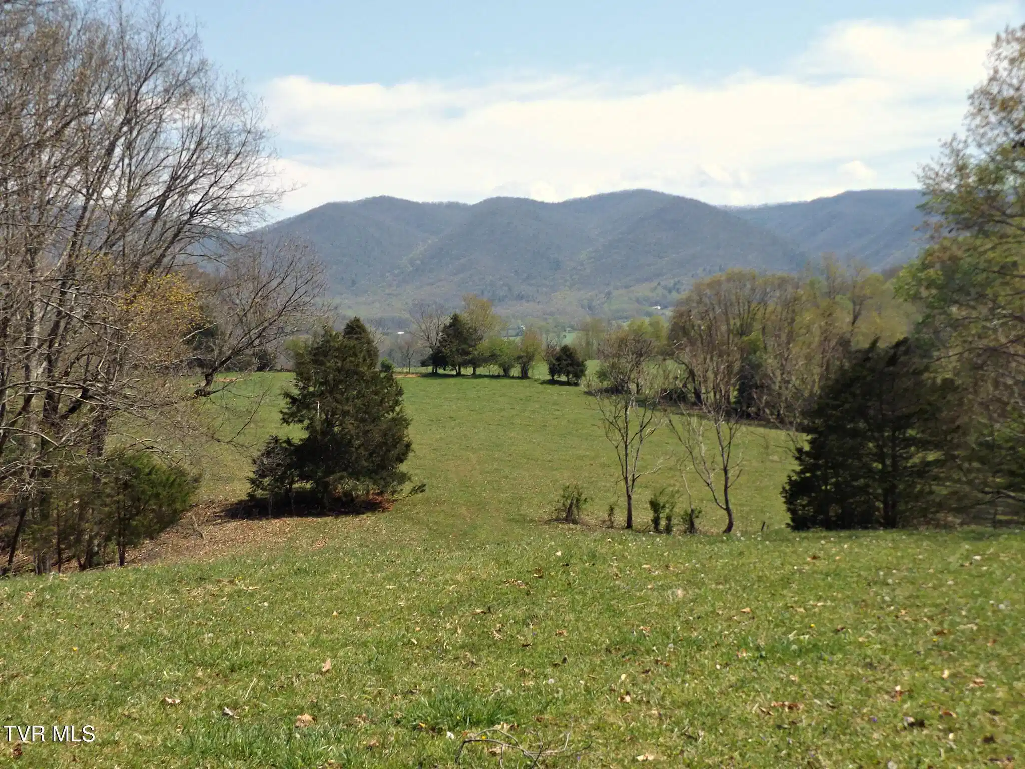 Image 1: Willowtop50