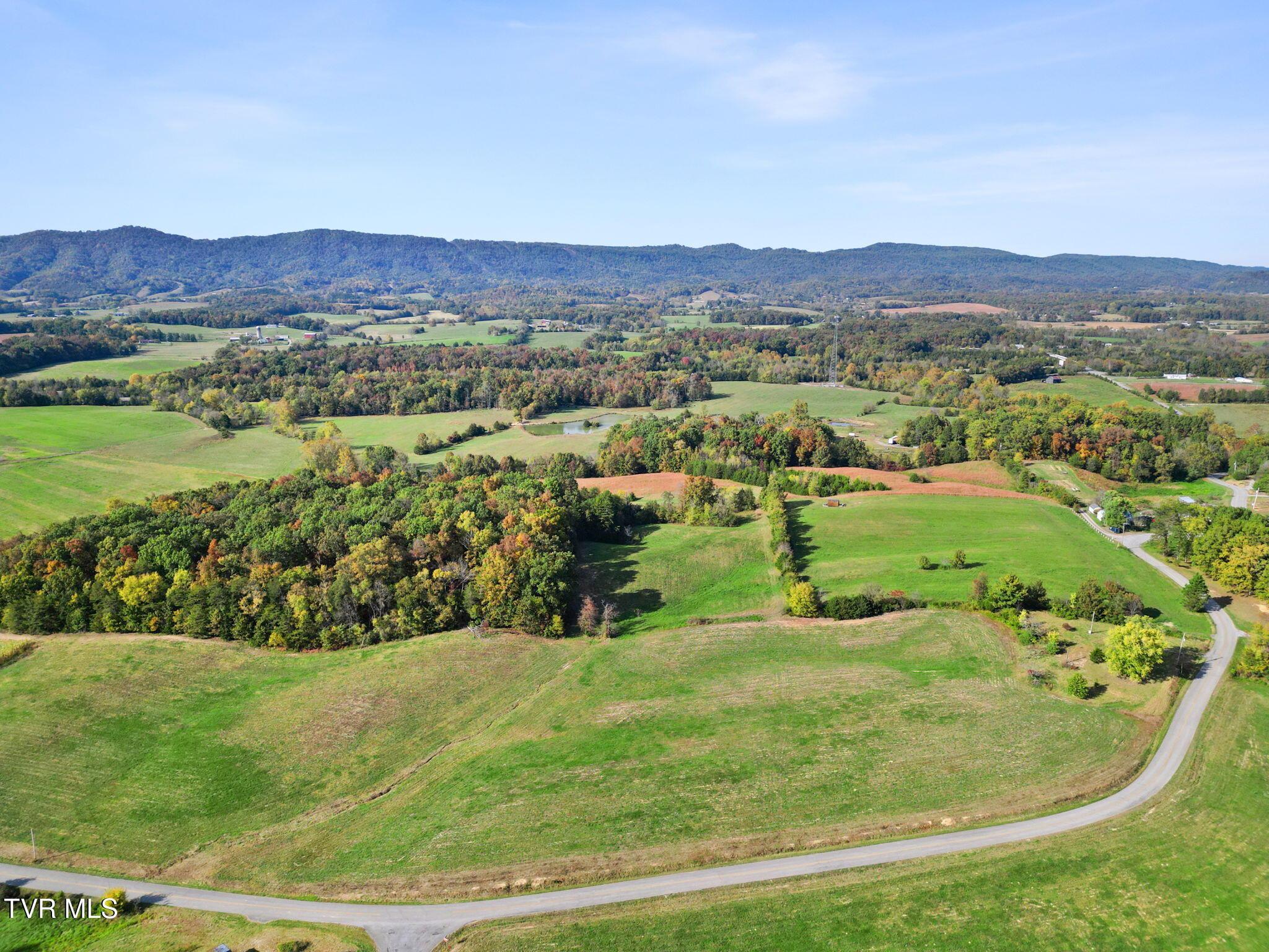Image 2: 7-web-or-mls-DJI_0499