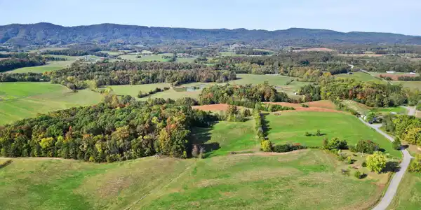 Image 2: 7-web-or-mls-DJI_0499