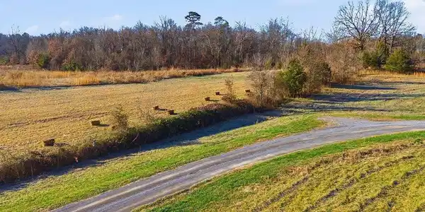 Image 4: Harris Town Rd - 4