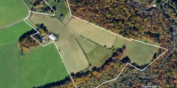 Image 2: 1602 Winchester Rd-2
