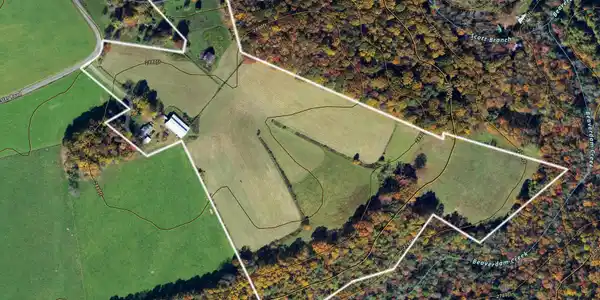 Image 3: 1602 Winchester Rd-3