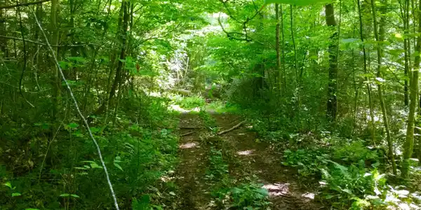 22.83/Ac Tbd Sciota Road