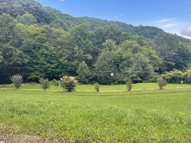 Image 2: IMG_7154