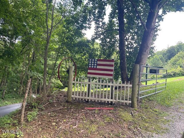 Image 3: IMG_7153