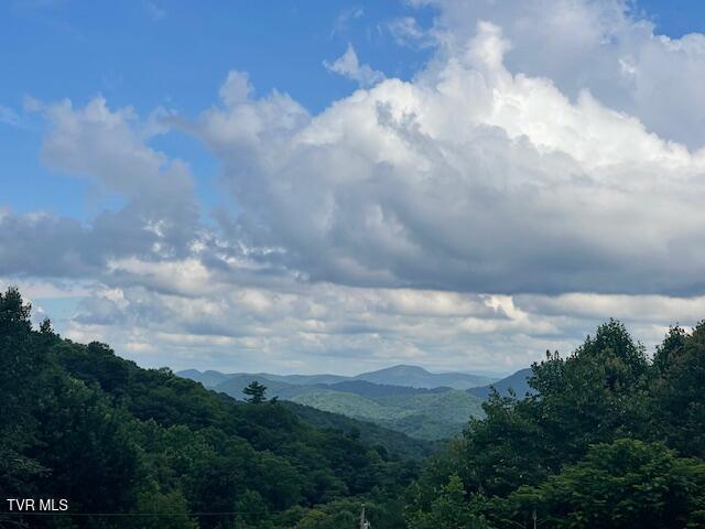 Image 4: IMG_7156