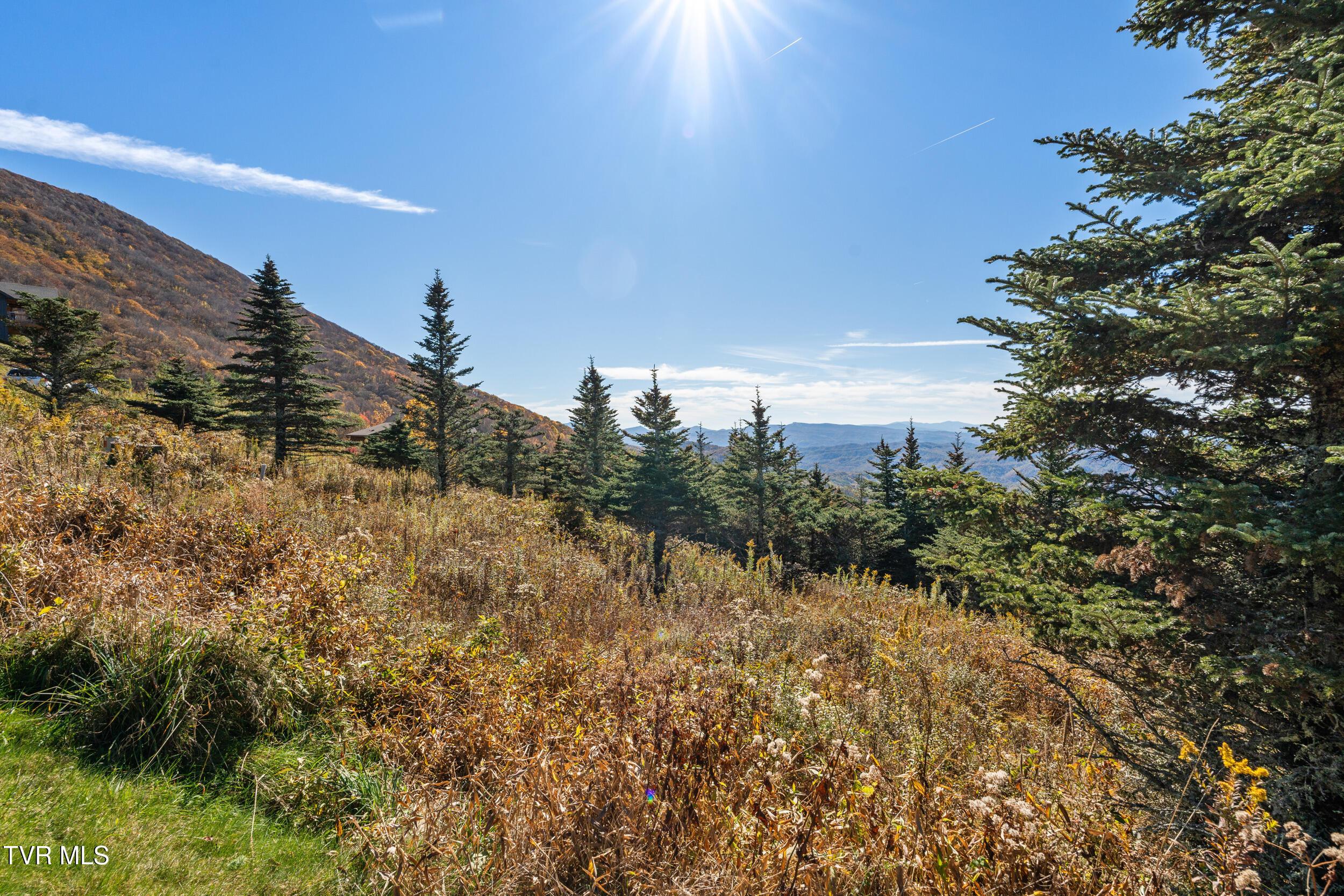 Image 3: 4.04 acres