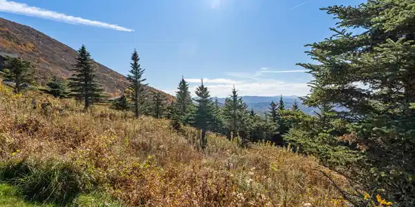 Image 3: 4.04 acres