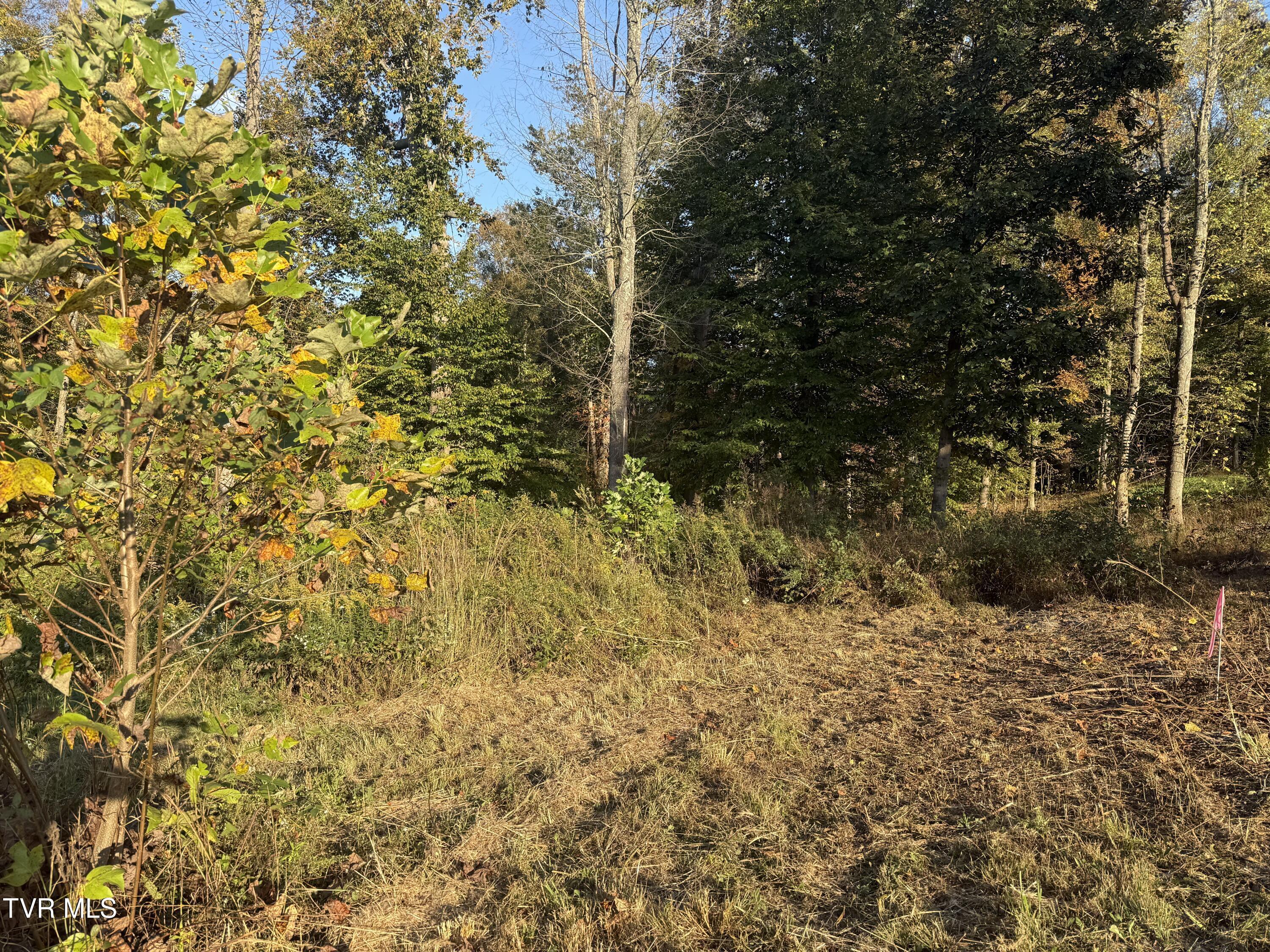 Image 2: IMG_9336