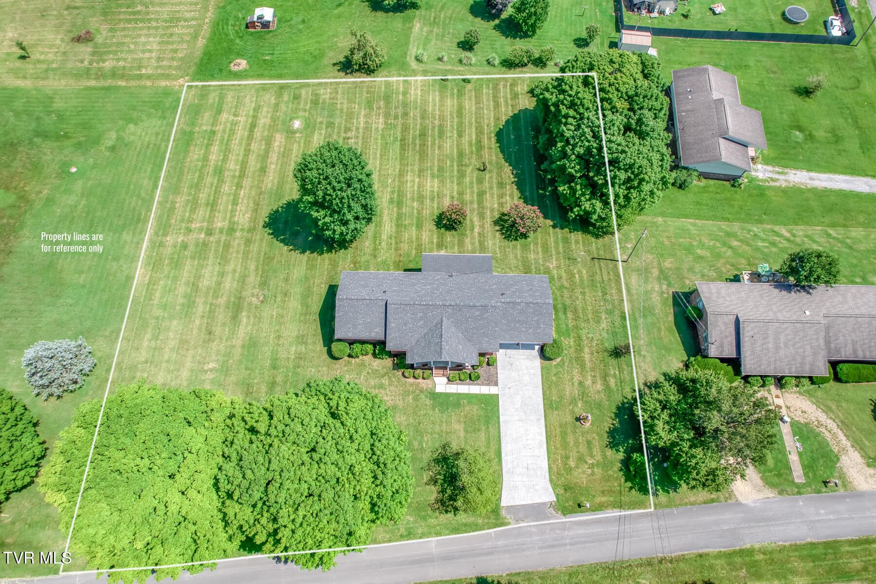 Image 3: 105 Livesay Cir-6