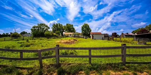 137 Snapp Road