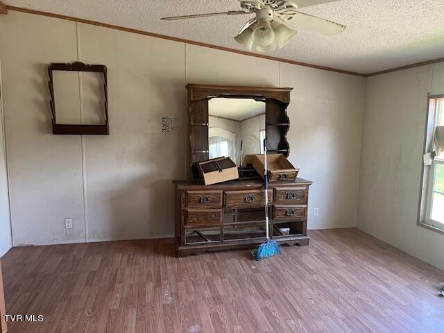 Image 4: IMG_1990