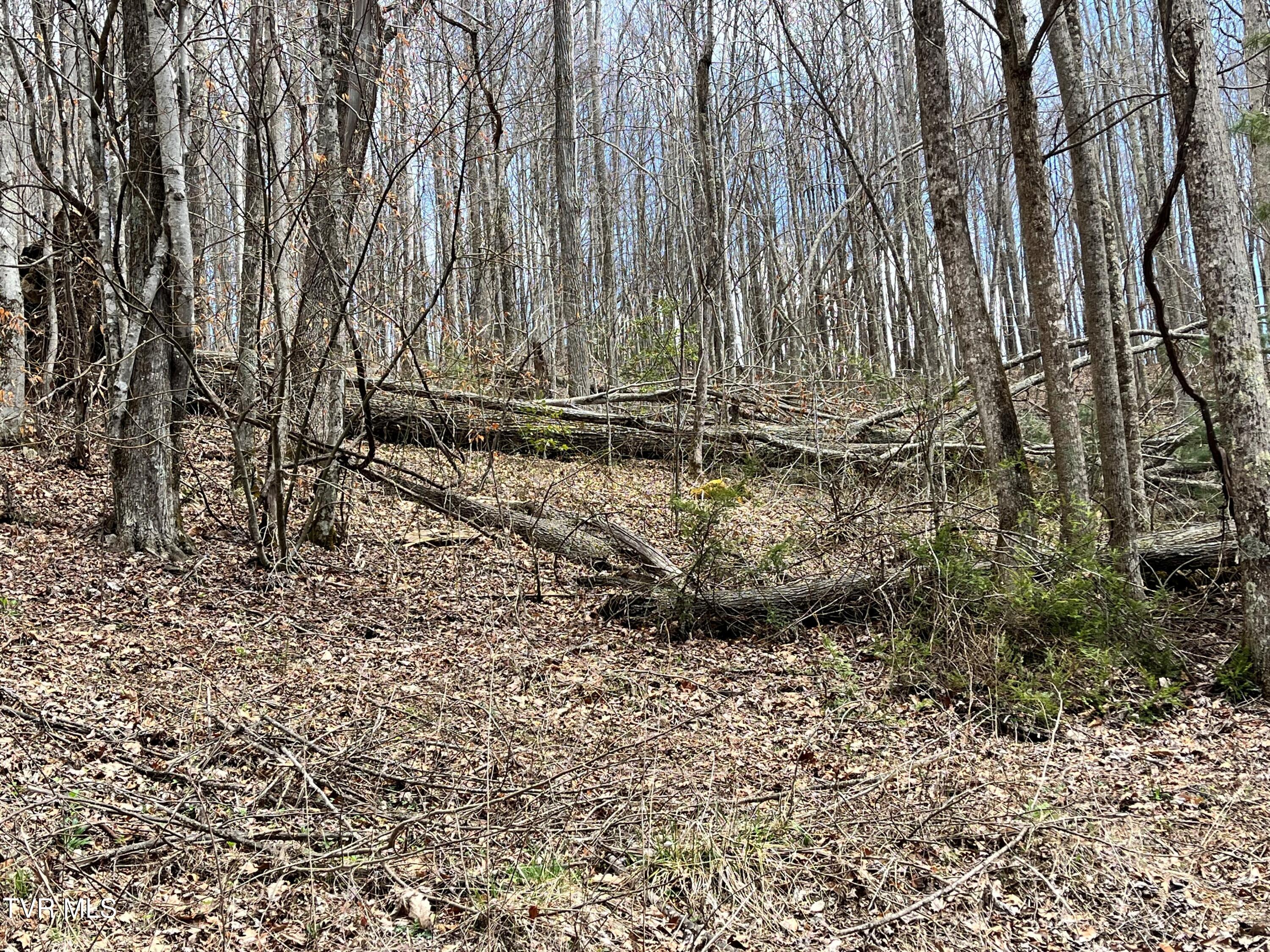 Image 3: 14 Heaton Branch