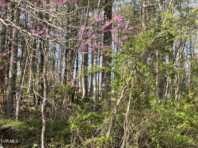 2 Lots Powell Valley Road Road