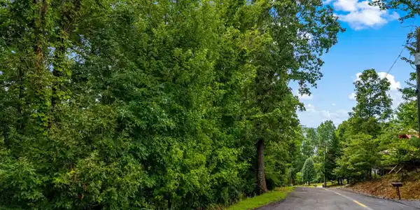 Image 3: 004-648LakeviewDrive-Mooresburg-TN-37811