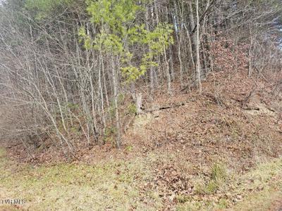 10402 Right Fork Road