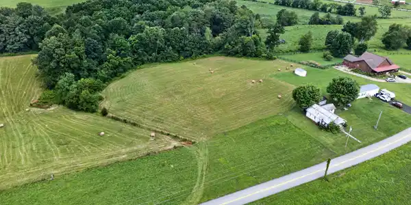 Image 4: DJI_0262