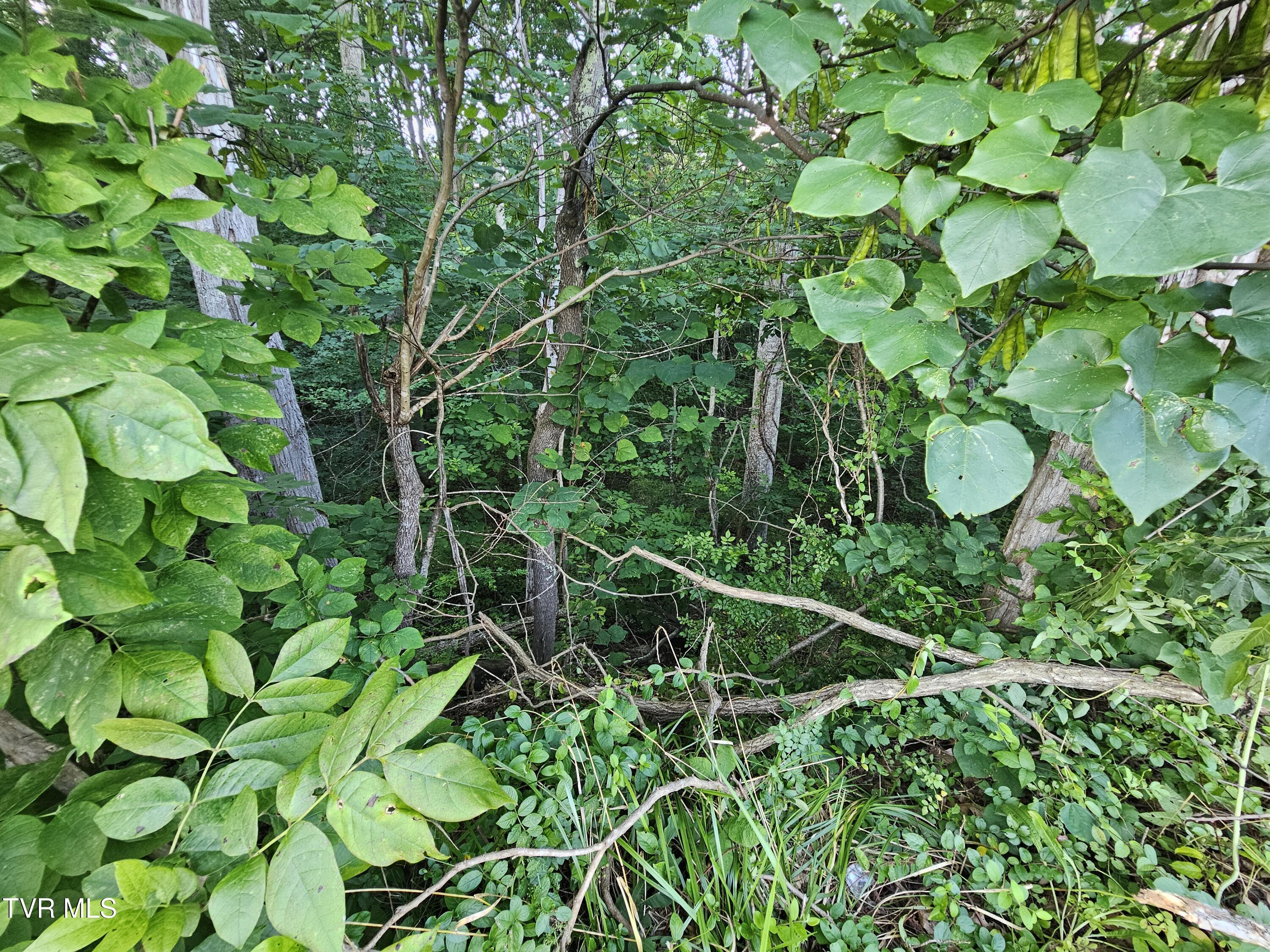 Image 2: 20250722_181742