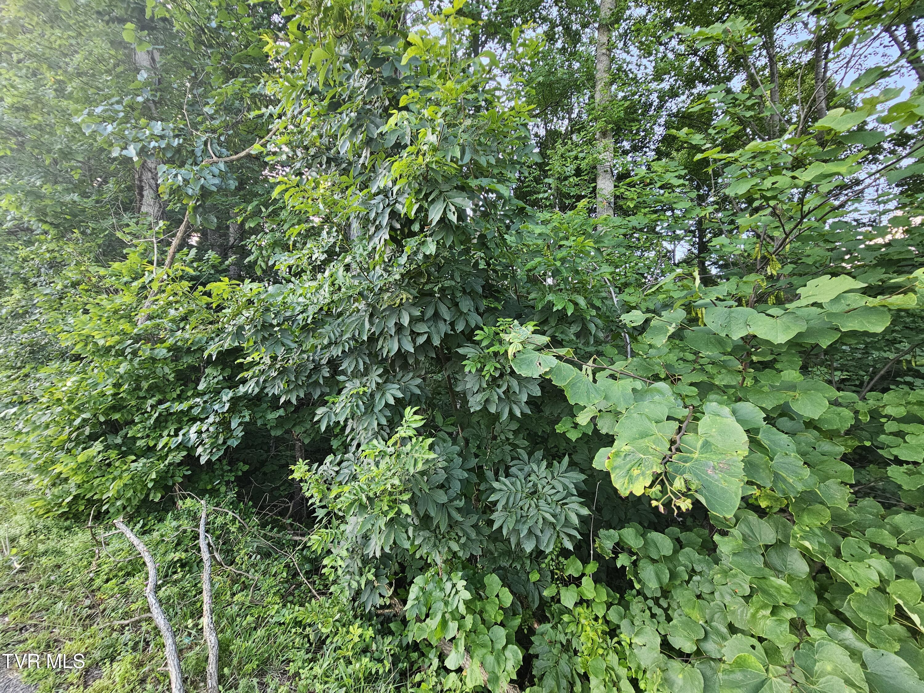 Image 3: 20250722_181754