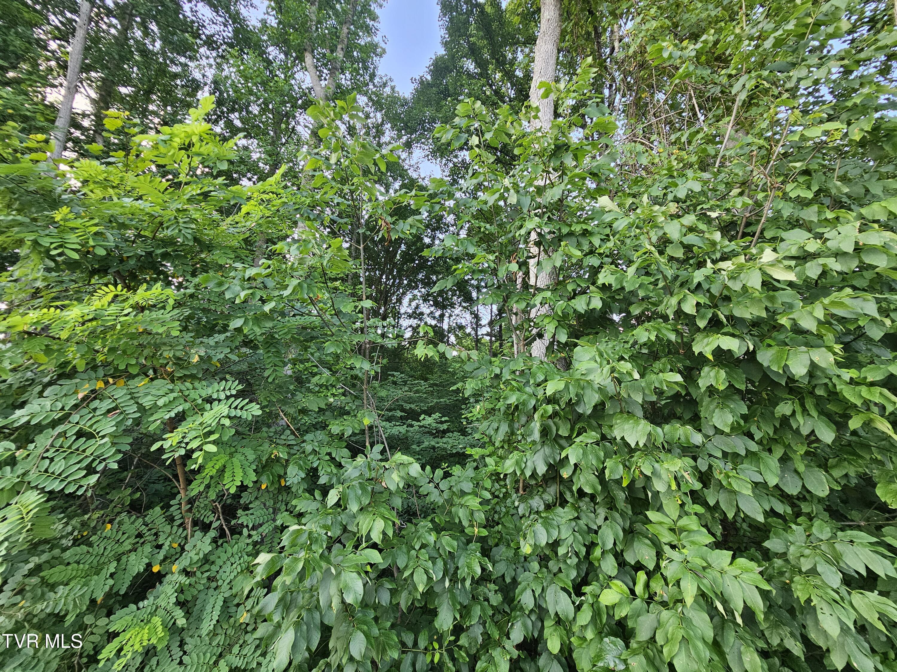 Image 4: 20250722_181813