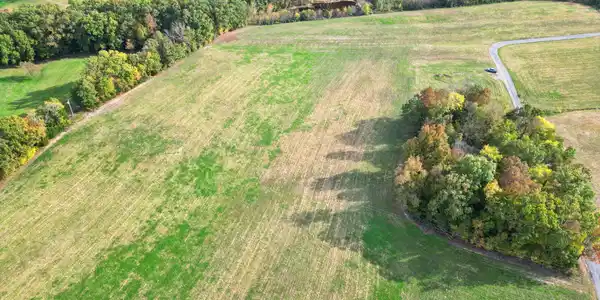 Image 2: 39-web-or-mls-DJI_0531