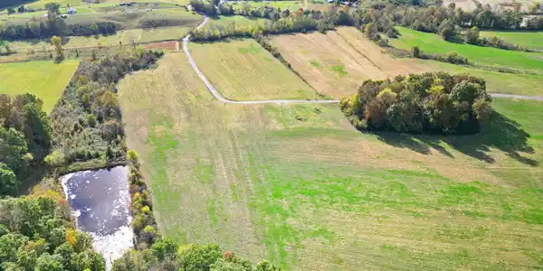 Image 3: 12-web-or-mls-DJI_0504