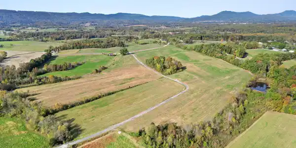 Image 4: 13-web-or-mls-DJI_0505 - Copy