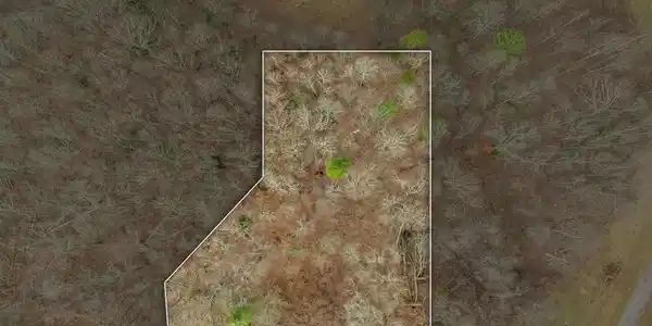 Image 2: Aerial view of plat