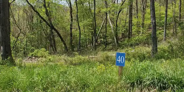 Lot 40 Cowan Town Road