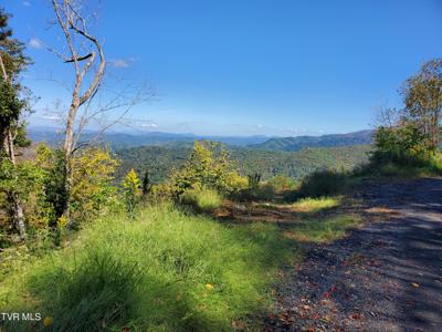 00 Cloudland Drive