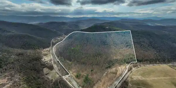 Image 3: 9613 Roan Creek Road (1 of 71)