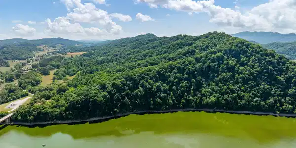 Image 4: DJI_0088