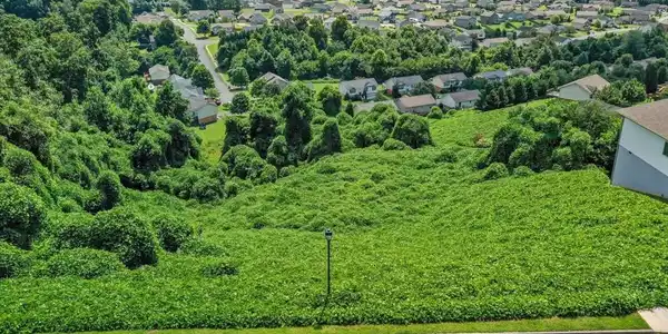 Image 3: 02-DJI_0875