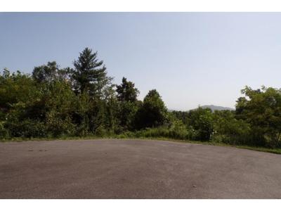 Tbd Arrowhead Trail Lot 12