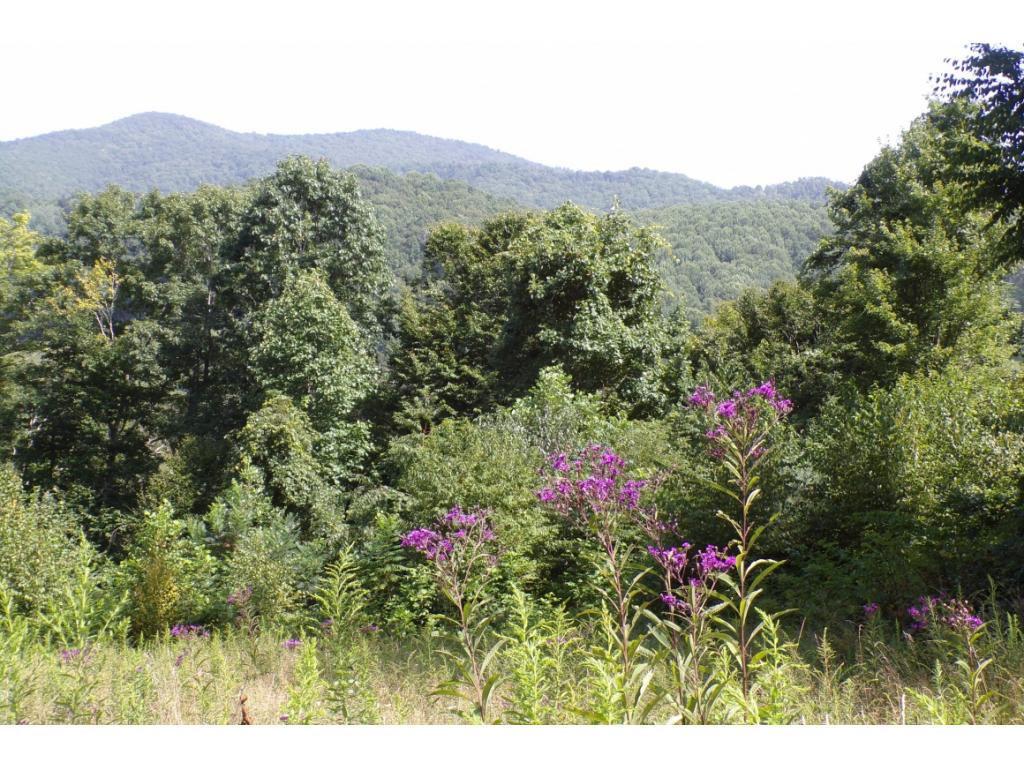 Image 2: Landscaped by Nature