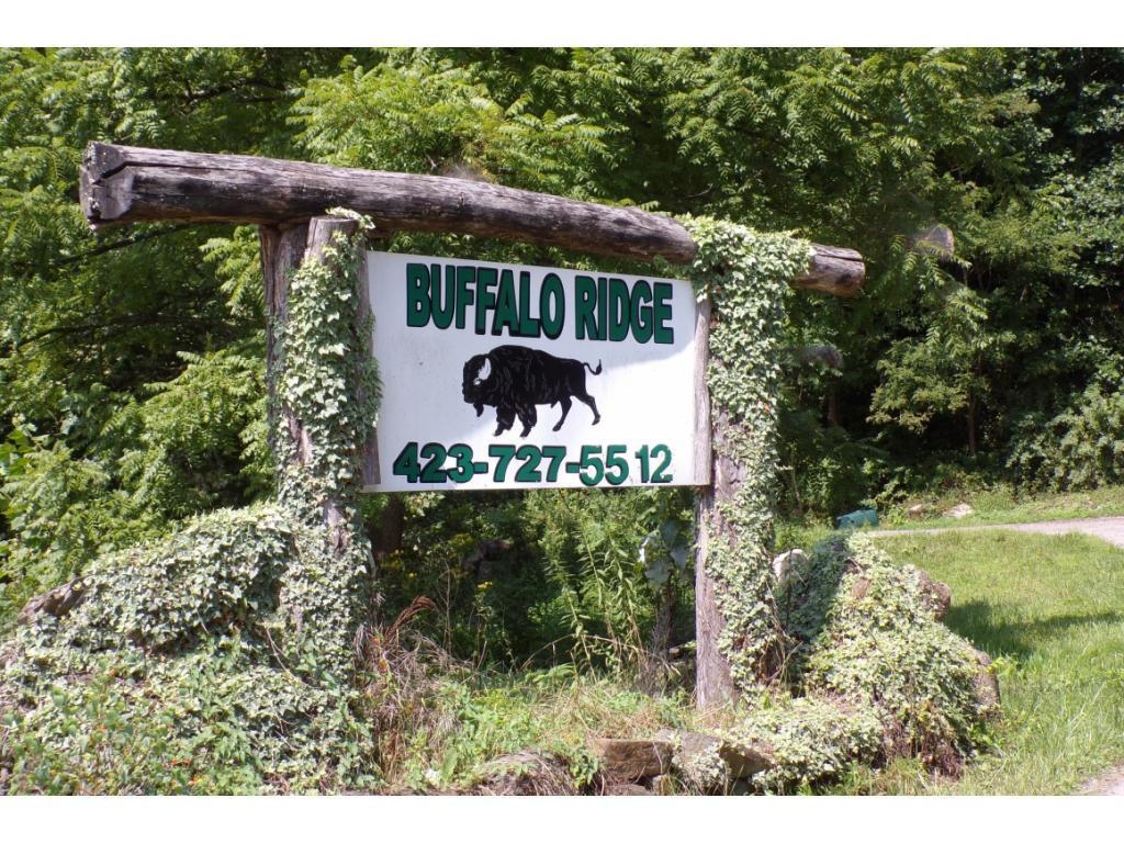 Image 3: Buffalo Ridge Development