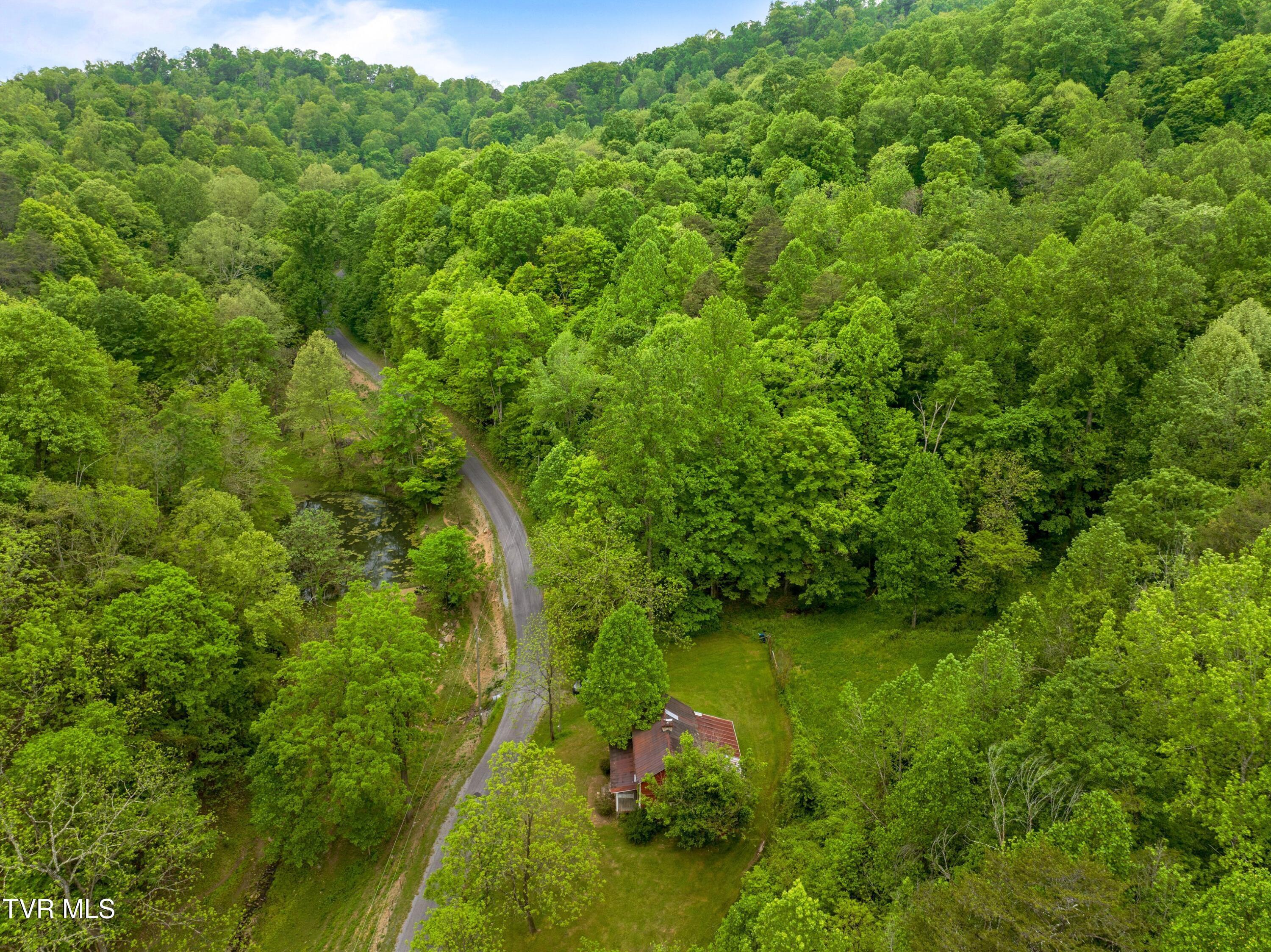 Image 3: 022-875SandyValleyRoad-Rogersville-TN-37