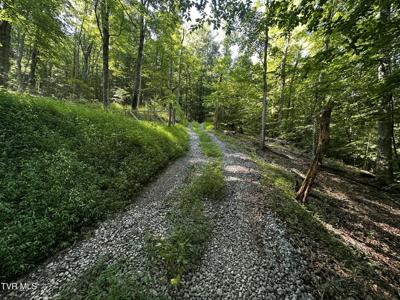 Tbd Clinch Mountain Road