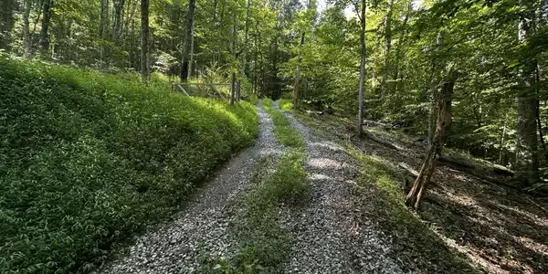 Tbd Clinch Mountain Road