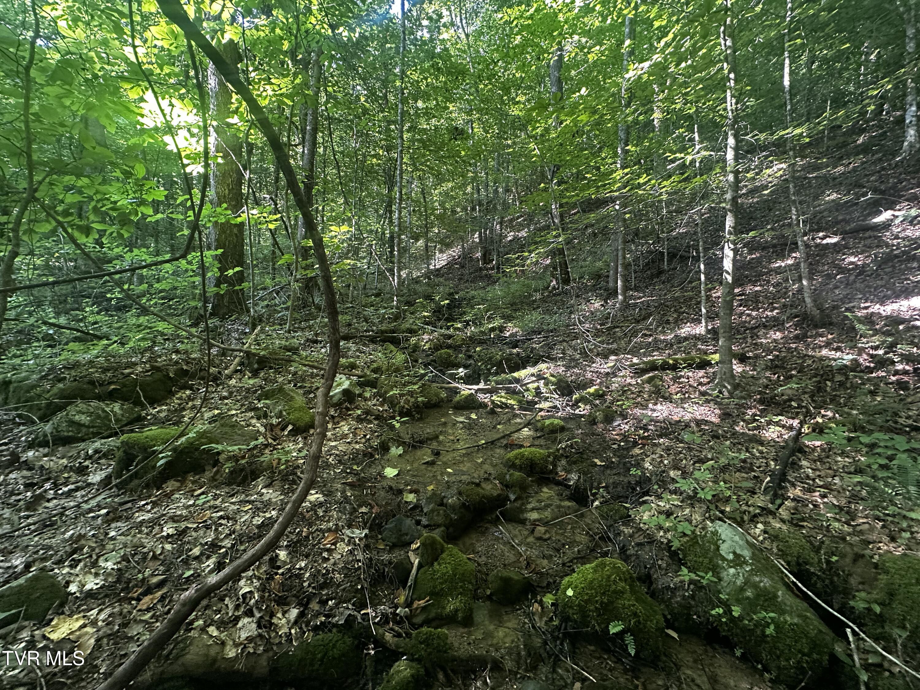 Image 4: IMG_6582