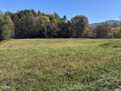 703 Locust Gap Road