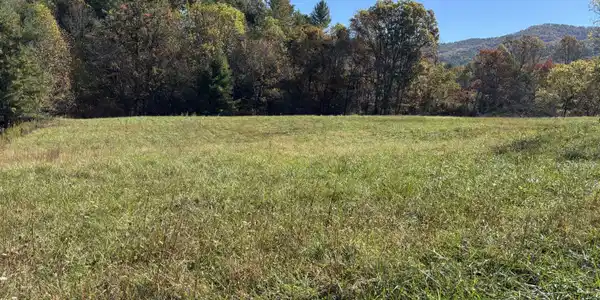703 Locust Gap Road