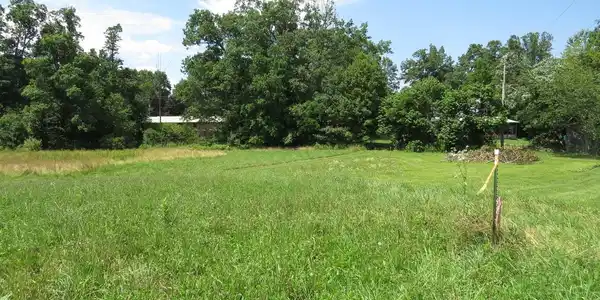 Image 2: 2